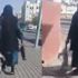 Kedileri zehirleyip çöpe attılar