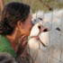 Albino hayvanlar