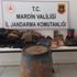 Mardin'de terör operasyonu Mardin'de terör operasyonu