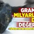 Türkiye'de de bulma ihtimaliniz var! Gramı bile milyarlarca dolar değerinde