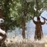 Suriye sınırında 1 PKK'lı terörist yakalandı Suriye sınırında 1 PKK'lı terörist yakalandı