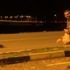 Kars'ta acıkan yavru boz ayıları elleriyle doyurdu