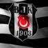 Porto Beşiktaş maçı ne zaman saat kaçta? BJK Porto maçı hangi kanalda, şifresiz mi? Şampiyonlar Ligi başlıyor…