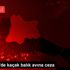 Kırklareli de kaçak balık avına ceza