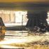 Üretim gaza bastı