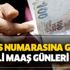 Emekliler için maaş günü! SSK Bağkur 2020 zamlı emekli maaş farkları tahsis numarasına göre ödeme günleri Emekliler için maaş günü! SSK Bağkur 2020 zamlı emekli maaş farkları tahsis numarasına göre ödeme günleri