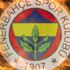Fenerbahçe'nin devre arasında Mehmet Topal'ı göndereceği iddia edildi