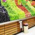 Marketlerde tanzim satışı başladı! Marketlerde tanzim satışı başladı!