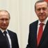 Cumhurbaşkanı Erdoğan, Putin'le görüştü
