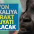 1 milyon Afrikalıya katarakt ameliyatı yapılacak 1 milyon Afrikalıya katarakt ameliyatı yapılacak