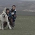 Türkiye'nin Oscar aday adayı 'Sivas'