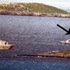 Atatürk Havalimanı'nda yine drone vakası Atatürk Havalimanı'nda yine drone vakası