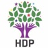 Kadına şiddet uygulayanlar HDP'den milletvekili aday adayı olamayacak