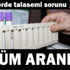 Göçmenlerin talasemi sorununa çözüm arayışı Göçmenlerin talasemi sorununa çözüm arayışı