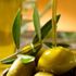 Marmarabirlik, çiftçiden 51 bin ton zeytin aldı Marmarabirlik, çiftçiden 51 bin ton zeytin aldı