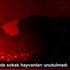 Kısıtlamada sokak hayvanları unutulmadı
