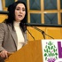 Figen Yüksekdağ: HDP'yi dizayn etmeye çalışmak kimsenin haddi değil