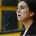 Yüksekdağ: Talep gelmedi