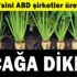 Şekerde kaçağa dikkat