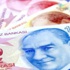 TÜİK yetkilisi: Asgari geçim tutarı 1424 lira TÜİK yetkilisi: Asgari geçim tutarı 1424 lira