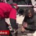 Mansur Yavaş'a "Sen buraya yakışmıyorsun" tepkisi Mansur Yavaş'a "Sen buraya yakışmıyorsun" tepkisi