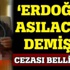 Gökçe Fırat Çulhaoğlu, Erdoğan'a hakaretten tutuklandı Gökçe Fırat Çulhaoğlu, Erdoğan'a hakaretten tutuklandı