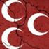 Bakanın ziyaret ettiği MHP ilçe başkanlığında istifa Bakanın ziyaret ettiği MHP ilçe başkanlığında istifa