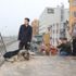 Yaralı sokak köpeğinin üzerine şalını örttü