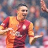 Mali kriz, aslan’ı tasarrufa zorluyor Mali kriz, aslan’ı tasarrufa zorluyor