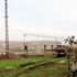 Genç kız tacizcisini öldürdü Genç kız tacizcisini öldürdü