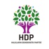 HDP MGK'da olmayacak