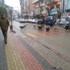 Bu Da Köpek Çetesi