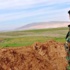 Kobani'de IŞİD'le çatışan peşmergeden "ilk kayıp" Kobani'de IŞİD'le çatışan peşmergeden "ilk kayıp"
