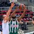 Darüşşafaka Tekfen, Panathinaikos'a direnemedi