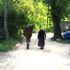 Jandarma, yaşlı kadının sırtındaki ot dolu sepeti alarak evine kadar taşıdı