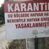 'Doktora şarbon teşhisi yasağı mı getirildi?'