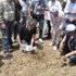 Yırca'ya 6 bin fidan Yırca'ya 6 bin fidan