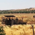 DEAŞ sınır hattına mayın döşedi DEAŞ sınır hattına mayın döşedi