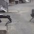 ABD'de polis Boston Dynamics'in robot köpeklerini kullandı