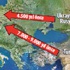Beyaz gen göçtü Beyaz gen göçtü