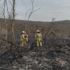 Beykoz'da havaya açılan ateş ormanlık alanı yaktı