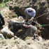 İtfaiyenin İnek Kurtarma Operasyonu İtfaiyenin İnek Kurtarma Operasyonu