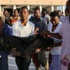 Somali'nin başkentinde korkunç saldırı: 20 ölü