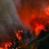 Tarım Orman-İş Başkanı Durmuş yangınların olası nedenlerini sıraladı