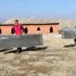 Bingöl’de gönüllü gençlerden örnek davranış: sokak hayvanları için 60 barınak kurdular Bingöl’de gönüllü gençlerden örnek davranış: sokak hayvanları için 60 barınak kurdular