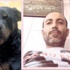 Rottweiler ölen sahibini parçaladı Rottweiler ölen sahibini parçaladı