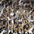 Beşiktaşlılar şaşırttı Beşiktaşlılar şaşırttı