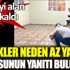 Darbeyi alan yığılıp kaldı. Erkekler neden az yaşan sorusunun yanıtı bulundu Darbeyi alan yığılıp kaldı. Erkekler neden az yaşan sorusunun yanıtı bulundu