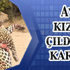 27 uyuşturucu hapa 4 yıl hapis