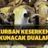 Kurban keserken okunacak dualar hangileri? Kurban Bayramı ibadetleri… Kurban keserken okunacak dualar hangileri? Kurban Bayramı ibadetleri…